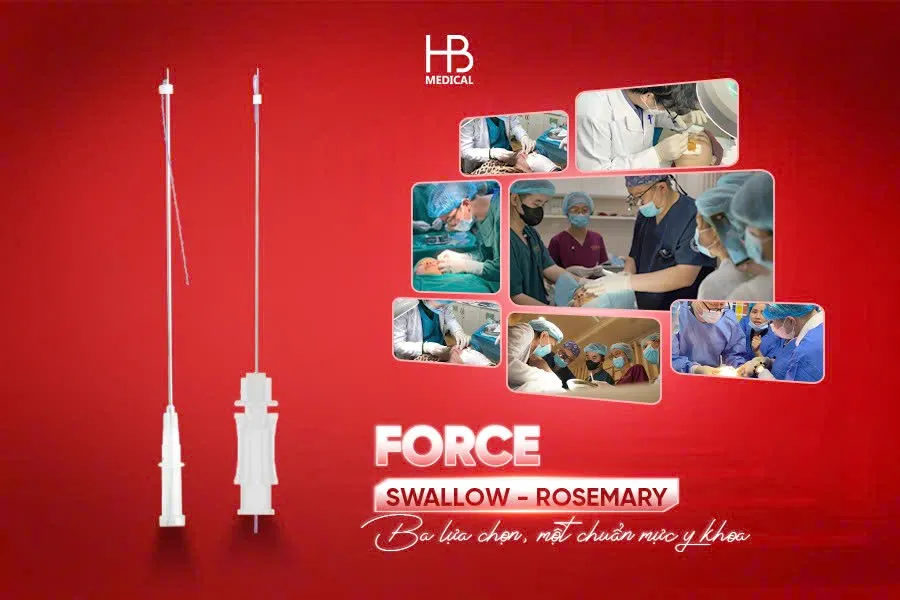 Force, Swallow, Rosemary – Ba lựa chọn, một chuẩn mực y khoa