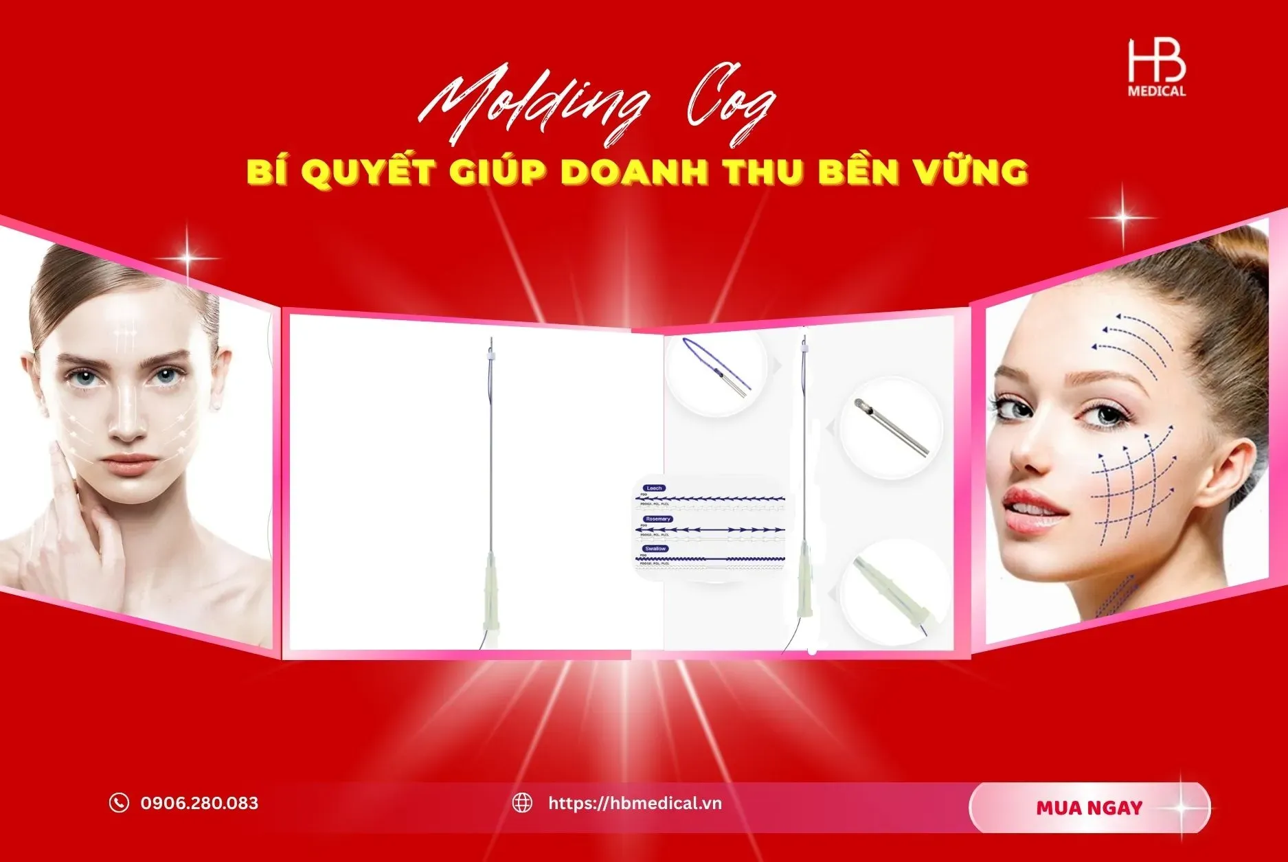 Molding Cog – Bí quyết doanh thu bền vững cho bệnh viện, thẩm mỹ viện, bác sĩ, đại lý, CTV