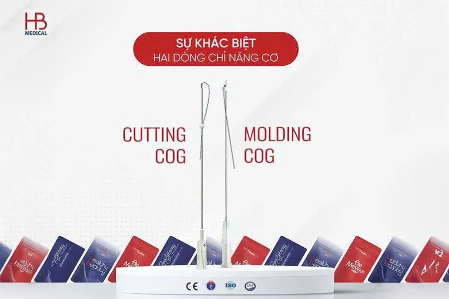 Cutting vs Molding Cog: Phân tích cấu trúc gai và lực kéo trong căng chỉ nâng cơ