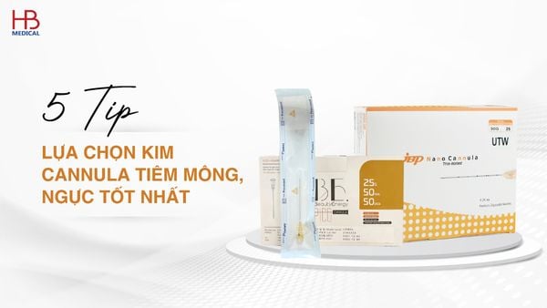 5 típ lựa chọn kim Cannula tiêm mông, ngực tốt nhất