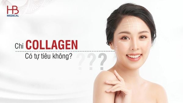 Chỉ collagen có tự tiêu không?