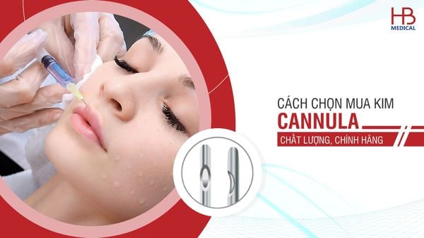 Cách chọn mua kim cannula chất lượng cao, chính hãng